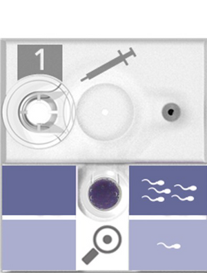 SwimCount sperm quality test showing normal result